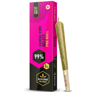 Canna Vibe Joint Premium Box 99% - Gelato